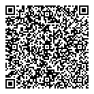 QR код "Moon"