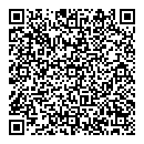 QR код "Flash"