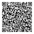 QR код "Созвездие"