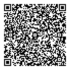 QR код "Квазар"