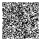 QR код "Глобус"