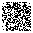 QR код "Динамо"