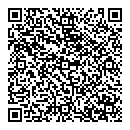 QR код "Лиза"