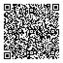 QR код "Camelot"