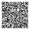 QR код "Camelot"