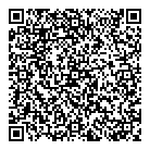 QR код "DNS"