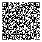QR код "Динамо-2"