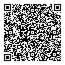 QR код "QIWI"