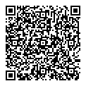 QR код "Remix"