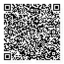 QR код "Спутник"
