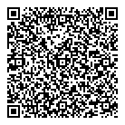 QR код "Созвездие"