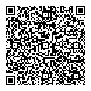 QR код "Спутник"