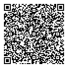 QR код "Метеор"
