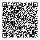 QR код "Силуэт"