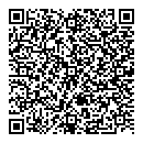 QR код "Блеск"