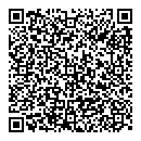 QR код "Пульсар"