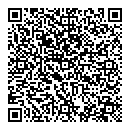 QR код "Пегас"