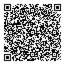 QR код "Алиса"