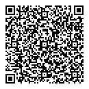 QR код "Спутник"