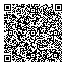 QR код "Лавина"