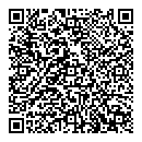 QR код "Элза"