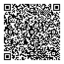 QR код "Домино"