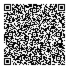 QR код "Айсберг"
