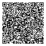QR код "Полярное солнце"