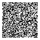 QR код "Snow image"