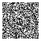 QR код "Домино"