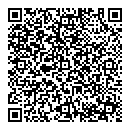 QR код "Блик"