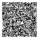QR код "Болид"