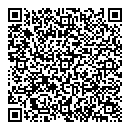 QR код "Ганеша"
