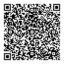 QR код "Лион"