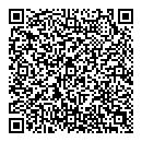 QR код "Домино"