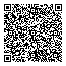 QR код "Лавина"