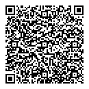 QR код "Арктика"