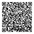 QR код "Молния"