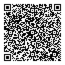 QR код "Новый"