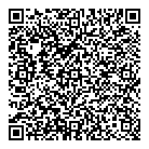 QR код "Спутник"