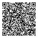QR код "Электроник"
