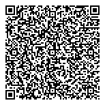 QR код "Испанский летчик"