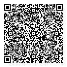QR код "Ван Гог"