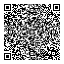 QR код "Свет"