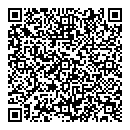 QR код "Professional"