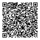 QR код "Solo"