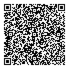 QR код "Solo"