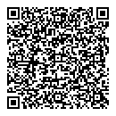 QR код "Solo"