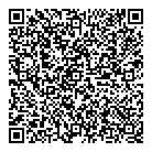 QR код "L.N. Vision"