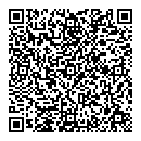 QR код "Voronin"